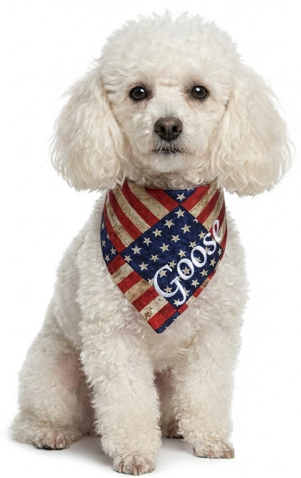 Patriotic Collection